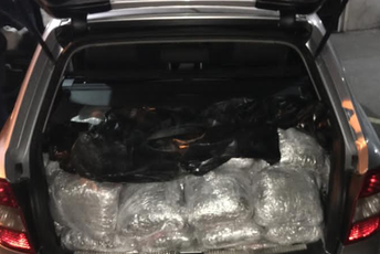 Zadržavanje Ustabećiru zbog 107 kilograma marihuane Zadržavanje Ustabećiru zbog 107 kilograma marihuane