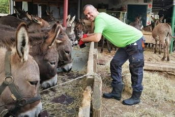 Sergej Trifunović posjetio Farmu magaraca u Martinićima Sergej Trifunović posjetio Farmu magaraca u Martinićima