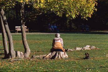 Boravak u prirodi smanjuje želju za pušenjem i alkoholom Boravak u prirodi smanjuje želju za pušenjem i alkoholom