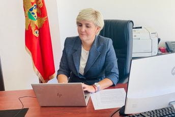 Sekulić: CGES bolja firma od EMS, čudna kupovina Sekulić: CGES bolja firma od EMS, čudna kupovina