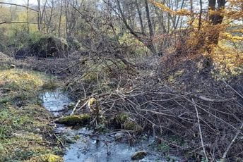 Euromost: Uništen dio obale rijeke Bistrice u Bijelom Polju Euromost: Uništen dio obale rijeke Bistrice u Bijelom Polju