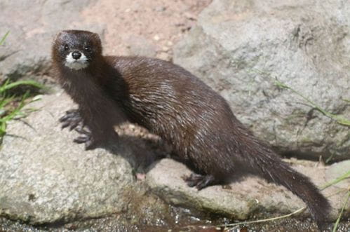 Vidre uništile 25 novih auta: Pričinjena šteta od 200.000 eura