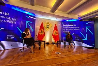 Bez političke volje za reformama nazaduje se na putu ka Evropskoj uniji Bez političke volje za reformama nazaduje se na putu ka Evropskoj uniji