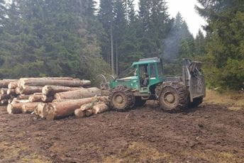 KOR: Zaustaviti poharu šume na Durmitoru, ovo je zločin nad prirodom KOR: Zaustaviti poharu šume na Durmitoru, ovo je zločin nad prirodom