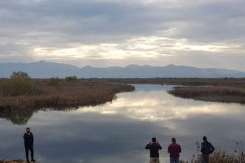 Ranjeni pelikan pušten na slobodu Ranjeni pelikan pušten na slobodu