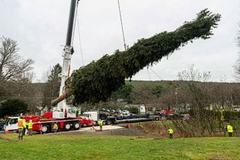 Njujork: Zbijaju šale na račun novogodišnje jelke Njujork: Zbijaju šale na račun novogodišnje jelke