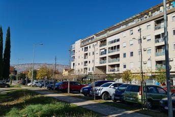 Gradsko Zelenilo zasadilo platane u Bloku IX Gradsko Zelenilo zasadilo platane u Bloku IX