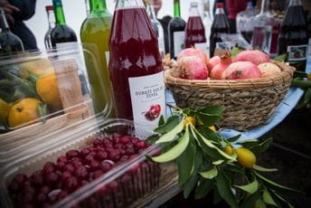 Humanitarno: “Dani divljeg šipka” Zagarač 2020. Humanitarno: “Dani divljeg šipka” Zagarač 2020.