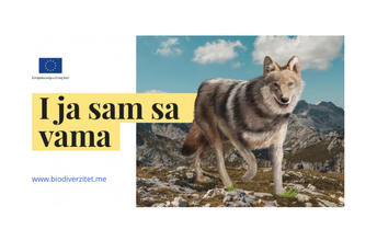 EU pokrenula kampanju o zaštićenim biljnim i životinjskim vrstama – I ja sam sa vama EU pokrenula kampanju o zaštićenim biljnim i životinjskim vrstama – I ja sam sa vama