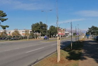 Novi drvored na Bulevaru Šarla de Gola Novi drvored na Bulevaru Šarla de Gola