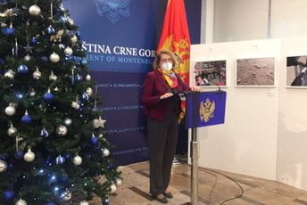 Bošnjak: Zakon o porijeklu imovine urađen studiozno, obuhvatio je sve Bošnjak: Zakon o porijeklu imovine urađen studiozno, obuhvatio je sve