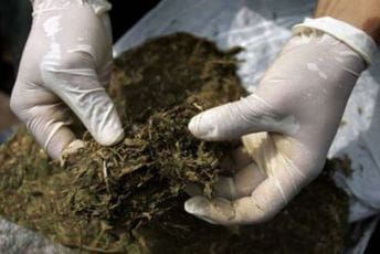 Pejović i Drašković pred sudom 24. februara Pejović i Drašković pred sudom 24. februara