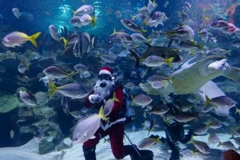 Neobična aktivnost Djeda Mraza na Tajlandu Neobična aktivnost Djeda Mraza na Tajlandu