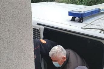 Mićunović pušten da se brani sa slobode Mićunović pušten da se brani sa slobode