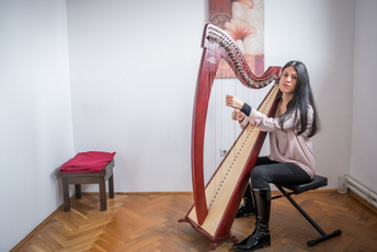 Harfistkinja Milica Kankaraš povukla podršku platformi „Crno na bijelo“ Harfistkinja Milica Kankaraš povukla podršku platformi „Crno na bijelo“