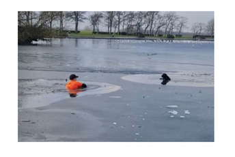 Prolaznik skočio u zaleđeno jezero i spasio psa Prolaznik skočio u zaleđeno jezero i spasio psa