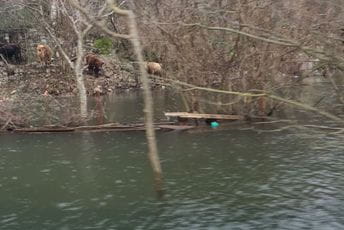 Stijović obećao pomoć mještanima Žabljaka Crnojevića Stijović obećao pomoć mještanima Žabljaka Crnojevića