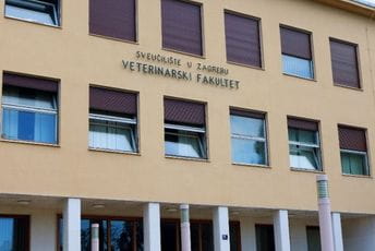 Zagreb: Profesor suspendovan zbog seksualnog zlostavljanja Zagreb: Profesor suspendovan zbog seksualnog zlostavljanja