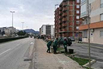 Ozelenjavanje bulevara u naselju nekadašnje Tuške pijace Ozelenjavanje bulevara u naselju nekadašnje Tuške pijace
