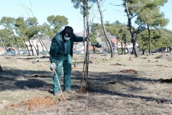 Akcija pošumljavanja; Park-šuma Zlatica od danas bogatija za 500 sadnica Akcija pošumljavanja; Park-šuma Zlatica od danas bogatija za 500 sadnica