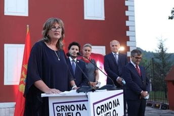 Glušica tvrdi da Fakultet za crnogorski jezik stvara bolesne ljude i nacionaliste Glušica tvrdi da Fakultet za crnogorski jezik stvara bolesne ljude i nacionaliste