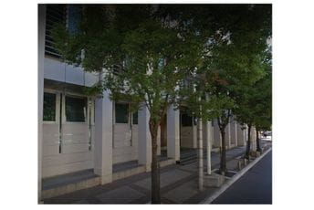 Đuranović: Kako je izbjegnut apostolski masakr motornim režačem za papir Drvored kamfora u Karađorđevoj ulici