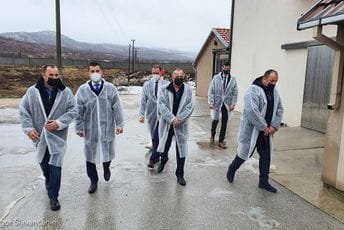 Bečić: Jačanje domaće proizvodnje kroz snažniju državnu podršku i ukidanje uvozničkih lobija doprinijeće razvoju poljoprivrede Bečić: Jačanje domaće proizvodnje kroz snažniju državnu podršku i ukidanje uvozničkih lobija doprinijeće razvoju poljoprivrede