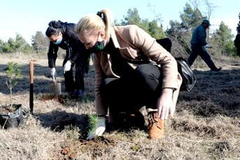 Na Gorici posađeno 500 sadnica Na Gorici posađeno 500 sadnica