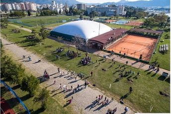 Nove sadnice maslina u Baru