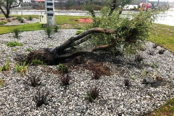 Glavni grad: Apelujemo na vozače da se savjesno ophode prema zelenim površinama Glavni grad: Apelujemo na vozače da se savjesno ophode prema zelenim površinama