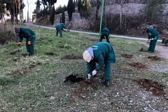 Park-šuma Ljubović bogatija za 500 sadnica Park-šuma Ljubović bogatija za 500 sadnica