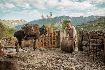 Pivopije šta vi birate? Pivopije šta vi birate?