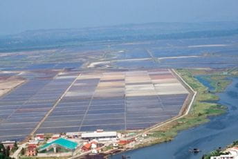 Ministarstvo ekologije neće dozvoliti lov na Solani Ministarstvo ekologije neće dozvoliti lov na Solani