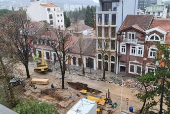 U Bokeškoj ulici upotpuniće se biljni fond