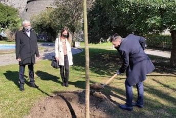 Vladimir Jokić posadio bagrem u znak sjećanja na Balaševića