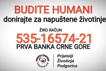 Budite humani,donirajte za napuštene životinje Budite humani,donirajte za napuštene životinje