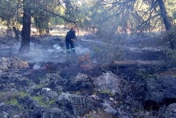 Brzom reakcijom vatrogasaca spriječeno širenje požara na Gorici Brzom reakcijom vatrogasaca spriječeno širenje požara na Gorici