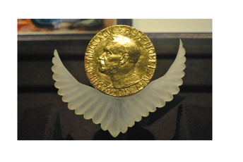 Ove godine 329 kandidata za Nobelovu nagradu za mir Ilustracija