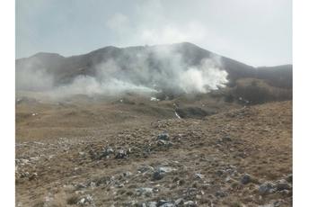 Požar u NP Lovćen, objektima za sada ne prijeti opasnost Požar u NP Lovćen, objektima za sada ne prijeti opasnost