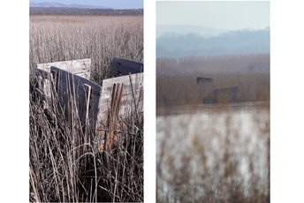 U Crnoj Gori godišnje strada oko 200.000 ptica Lovačke čeke na zaštićenom području u Ulcinjskoj solani