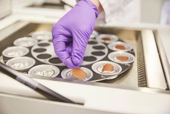 Javnost očekuje da vlasti razmotre koncept smanjenja štete u borbi protiv pušenja Javnost očekuje da vlasti razmotre koncept smanjenja štete u borbi protiv pušenja