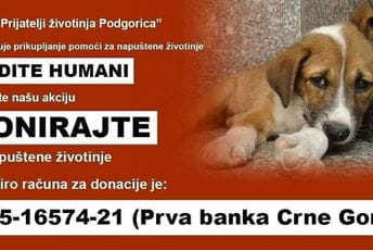 Priključite se akciji prikupljanja pomoći za napuštene životinje Priključite se akciji prikupljanja pomoći za napuštene životinje