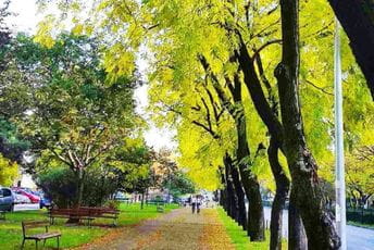 Bulevar Svetog Petra Cetinjskog u Podgorici našao se u izboru najmagičnijih svjetskih ulica Bulevar Svetog Petra Cetinjskog u Podgorici našao se u izboru najmagičnijih svjetskih ulica