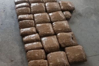 GP Ilino brdo: Zaplijenjeno 20kg marihuane (VIDEO) GP Ilino brdo: Zaplijenjeno 20kg marihuane (VIDEO)