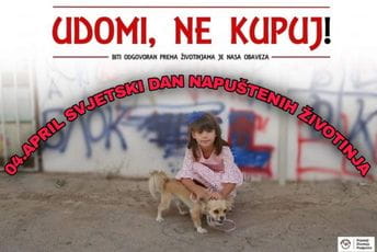 Danas se obilježava Svjetski dan napuštenih životinja Danas se obilježava Svjetski dan napuštenih životinja