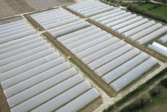 Zajedničkim snagama u osvajanje regionalnog tržišta Zajedničkim snagama u osvajanje regionalnog tržišta