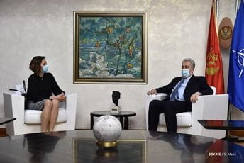 Krivokapić: Registar pedofila treba da ima preventivnu funkciju Krivokapić: Registar pedofila treba da ima preventivnu funkciju