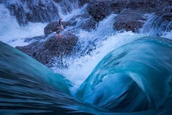 Završen foto konkurs na temu „Voda za mene“ Završen foto konkurs na temu „Voda za mene“