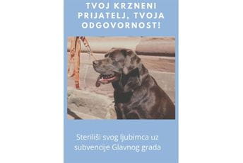 PG: Završen prvi ciklus subvencioniranja sterilizacije vlasničkih pasa