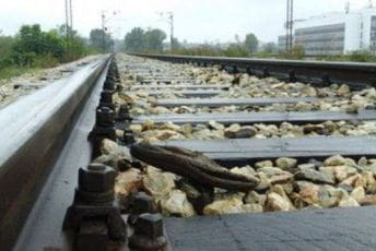 ŽPCG: Prekid željezničkog saobraćaja između Sutomora i Bara zbog radova ŽPCG: Prekid željezničkog saobraćaja između Sutomora i Bara zbog radova